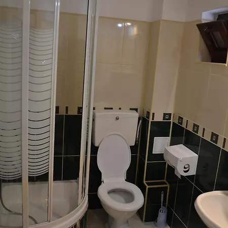 Pensión Pensiunea Miruna Valentin Jupiter