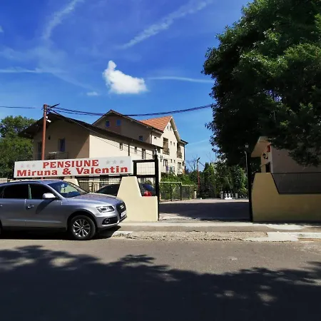 Pensiunea Miruna Valentin 3*