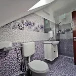 Pensiunea Miruna Valentin Guest house Jupiter