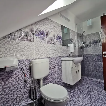 Pensiunea Miruna Valentin Guest house Jupiter