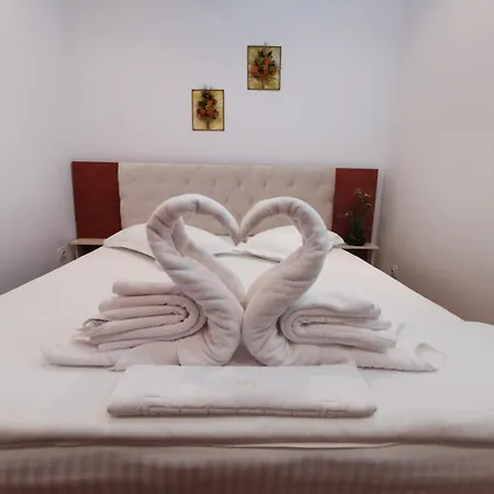 Pensiunea Miruna Valentin Guest house 3*