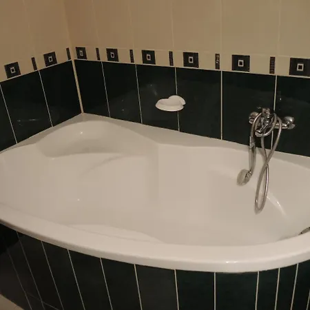 Pensiunea Miruna Valentin 3*