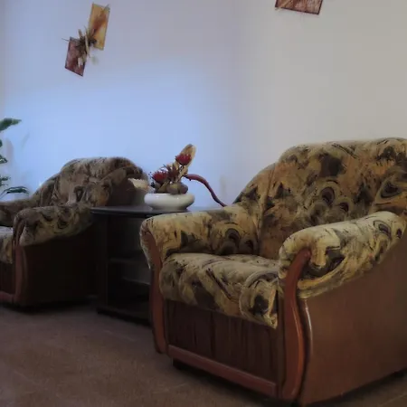 Pensiunea Miruna Valentin Pensjonat Jupiter