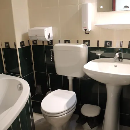 Pensiunea Miruna Valentin 3*