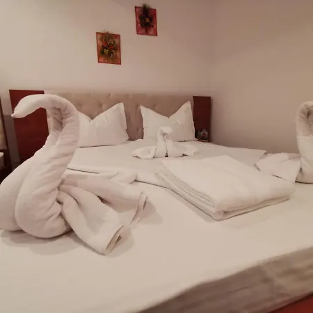 Guest house Pensiunea Miruna Valentin
