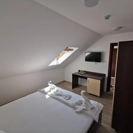 Pensiunea Miruna Valentin Guest house